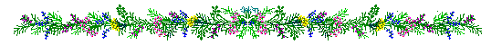 widesmflowers.gif